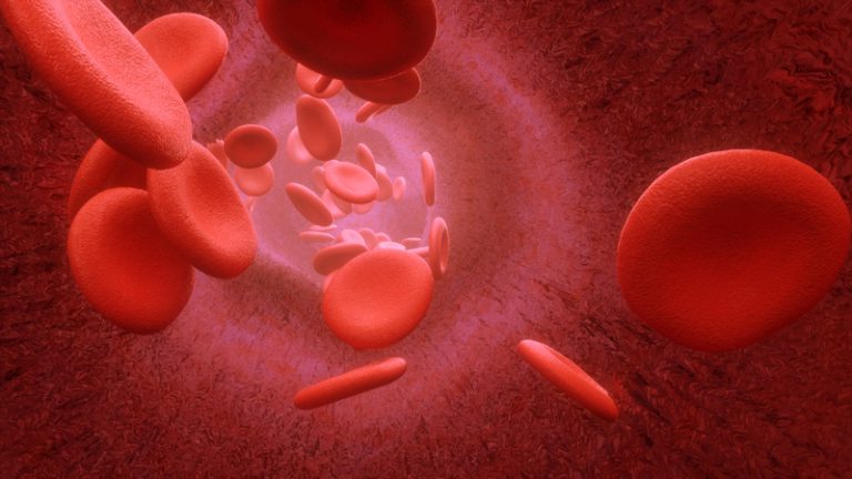 Лазерный очиститель крови Zengda – LSBC